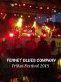 /album/blues-bands/fernet-tribut-fest-brasov-jpg/